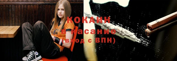 apvp Магас