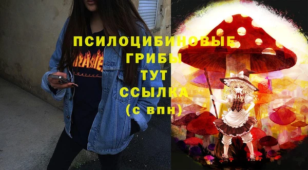 apvp Магас