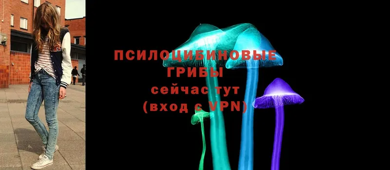 Псилоцибиновые грибы Magic Shrooms  Камешково 